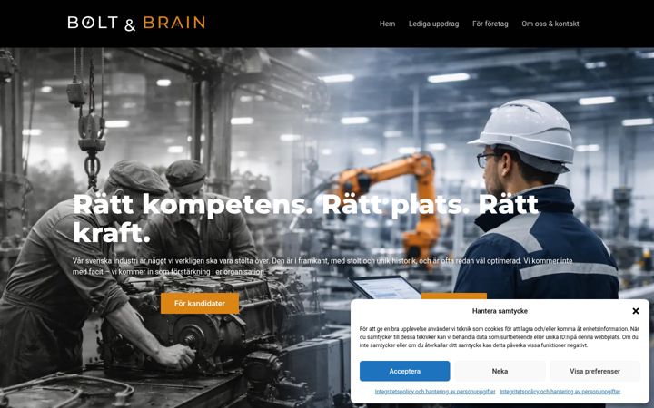 Screenshot ta' boltandbrain.se
