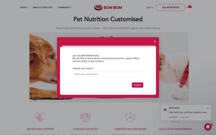 Screenshot of bombom.com