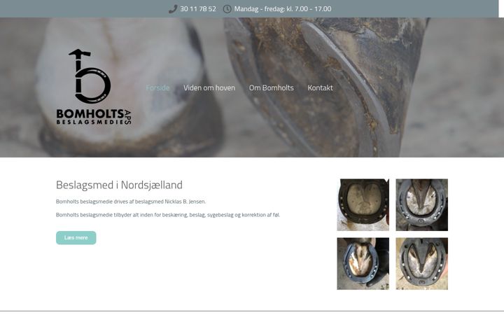 Screenshot of bomholts-beslagsmedie.dk