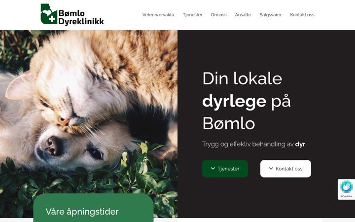 Screenshot of bomlodyreklinikk.no