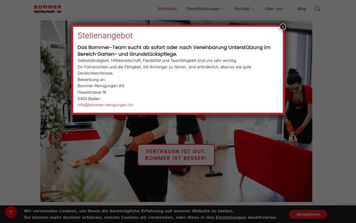Captura de pantalla de bommer-reinigungen.ch