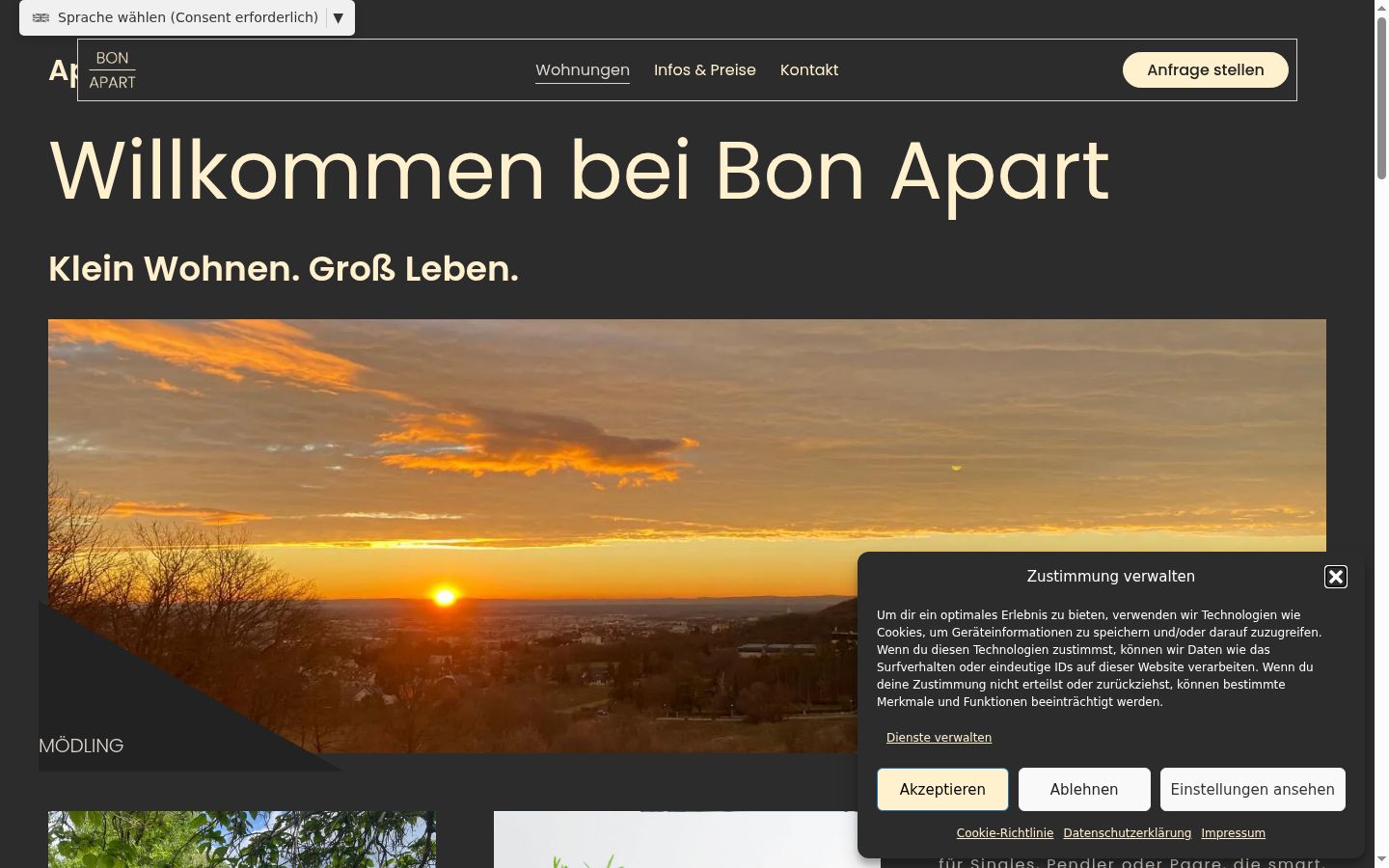 Screenshot of the consent banner shown before any interaction
