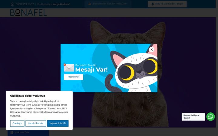 Screenshot of bonafel.com.tr