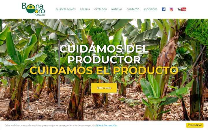 Screenshot of bonaoro.com