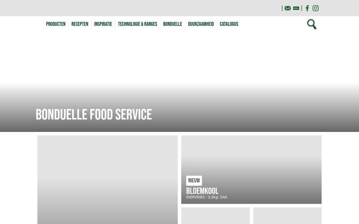 Screenshot of bonduelle-foodservice.be