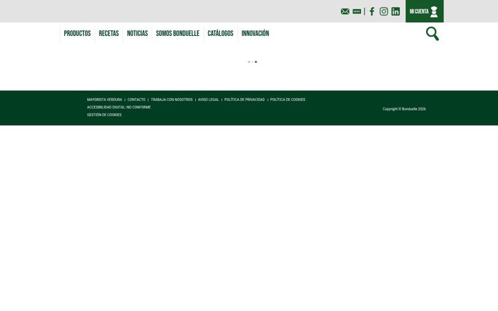 Screenshot of bonduelle-foodservice.es