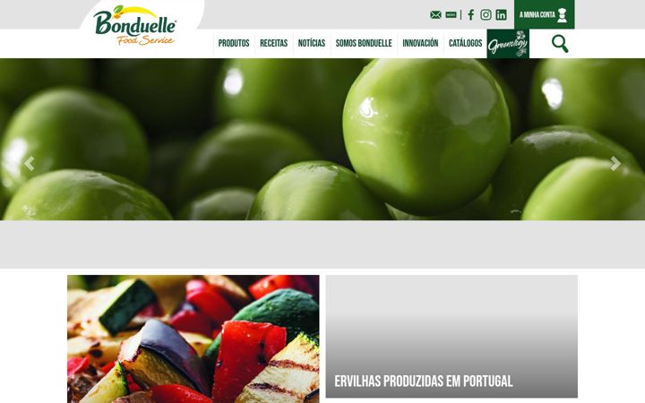 Screenshot of bonduelle-foodservice.pt
