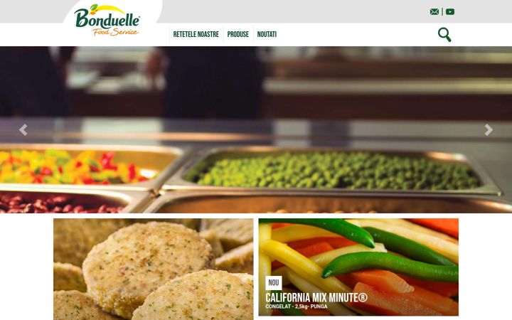 Screenshot of bonduelle-foodservice.ro