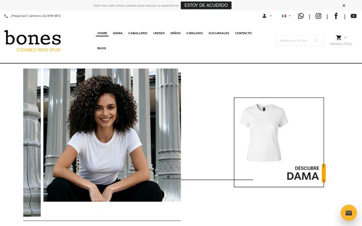 Screenshot of bonesfit.com