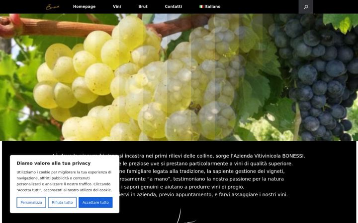 Screenshot of bonessivini.it