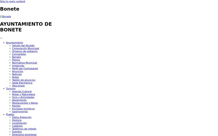 Screenshot of bonete.es