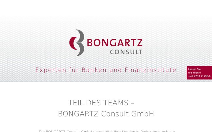 Screenshot of bongartz-consult.com