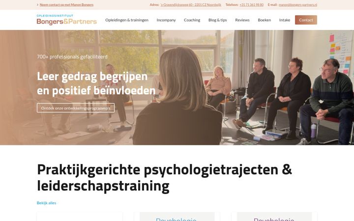 Screenshot of bongers-partners.nl