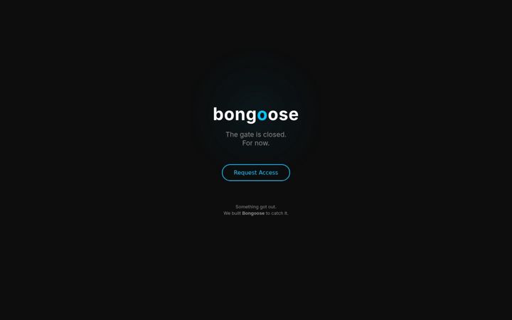 Screenshot of bongoose.com