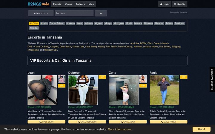 Screenshot of bongoraha.com