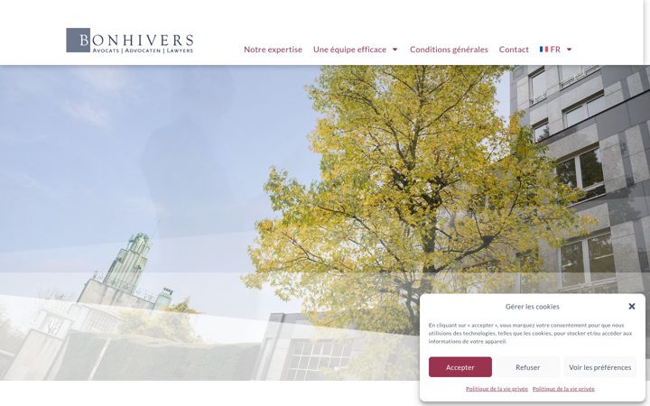 Screenshot of bonhivers.com