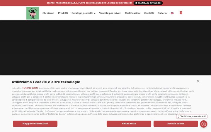 Screenshot of bonicar.it