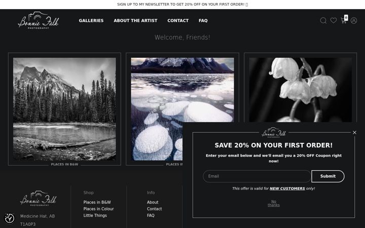 Screenshot of bonniefalk.com