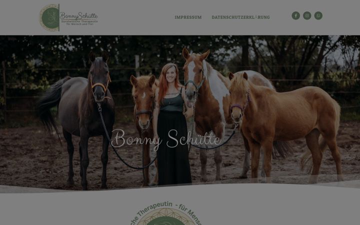 Screenshot of bonny-schuette.de