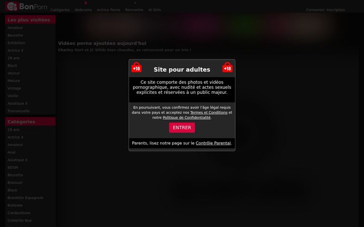 Screenshot of bonporn.com