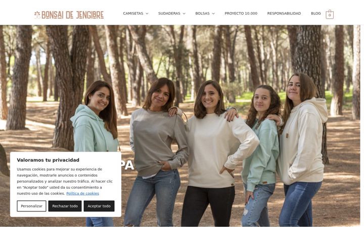 Screenshot of bonsaidejengibre.es
