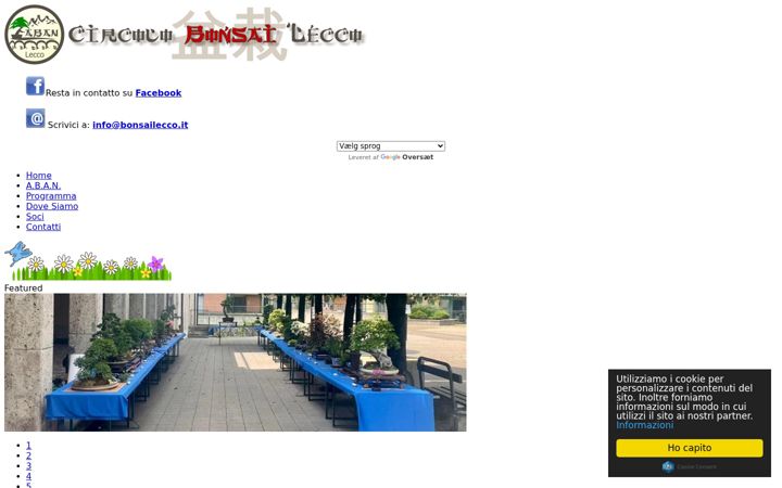 Screenshot of bonsailecco.it