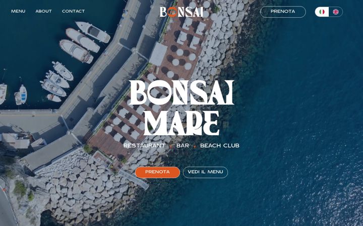 Screenshot of bonsaimare.it