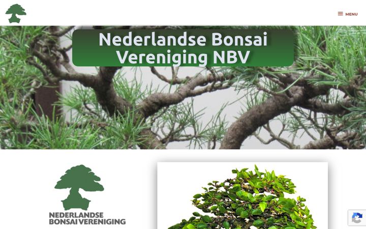 Screenshot of bonsainederland.nl