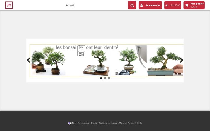 Skärmbild av bonsaioki.com