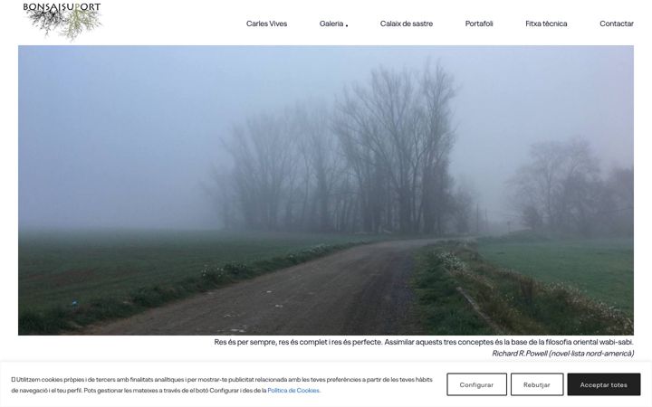 Screenshot of bonsaisuport.com