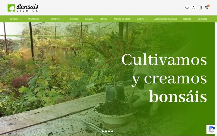 Screenshot von bonsaisviveros.com