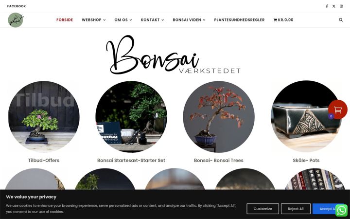 Zrzut ekranu bonsaivaerkstedet.com