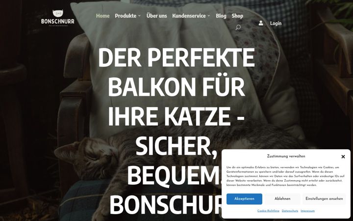 Screenshot of bonschnurr.de
