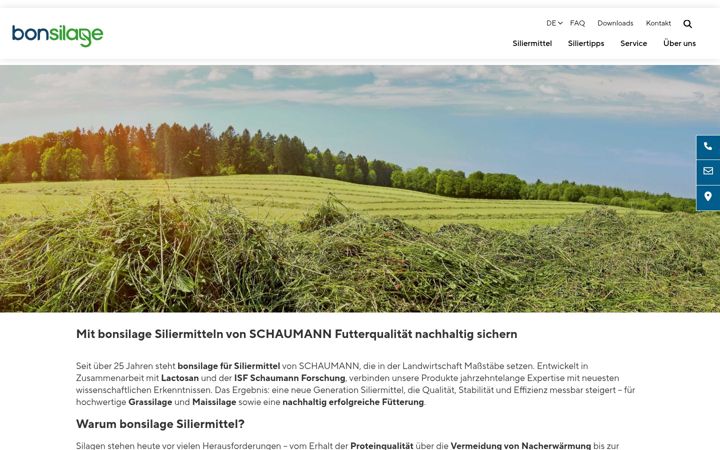 Screenshot of bonsilage.de