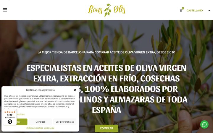 Screenshot of bonsolis.cat