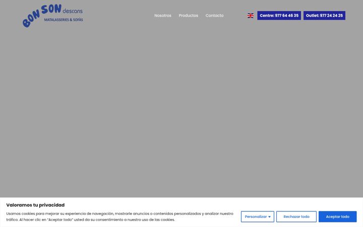 Screenshot of bonsondescans.com