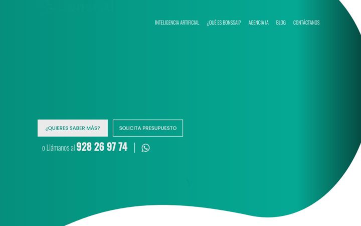 Screenshot of bonssai.es
