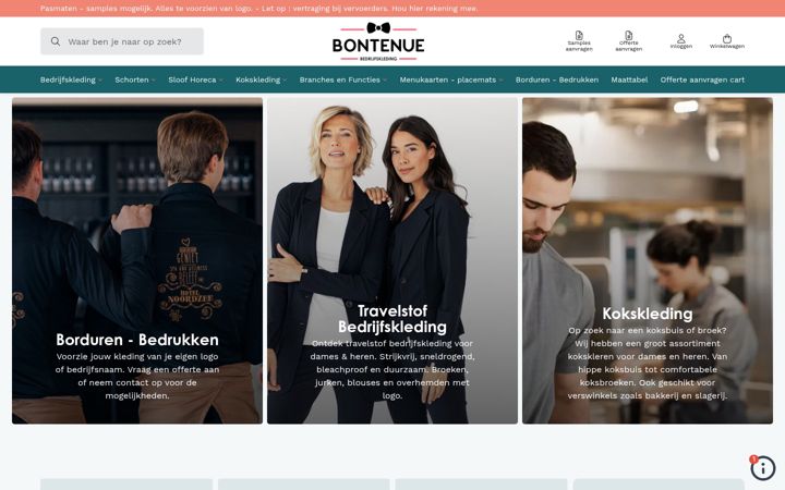 Screenshot of bontenue.nl