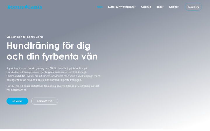 Screenshot of bonuscanis.se