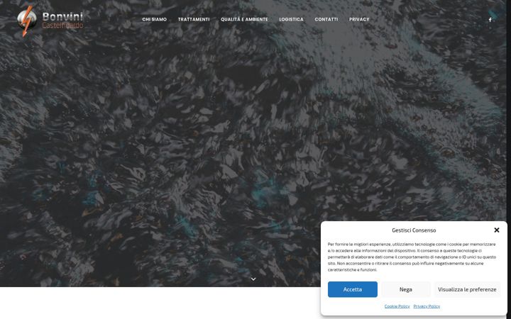 Screenshot of bonvinicastelfidardo.it