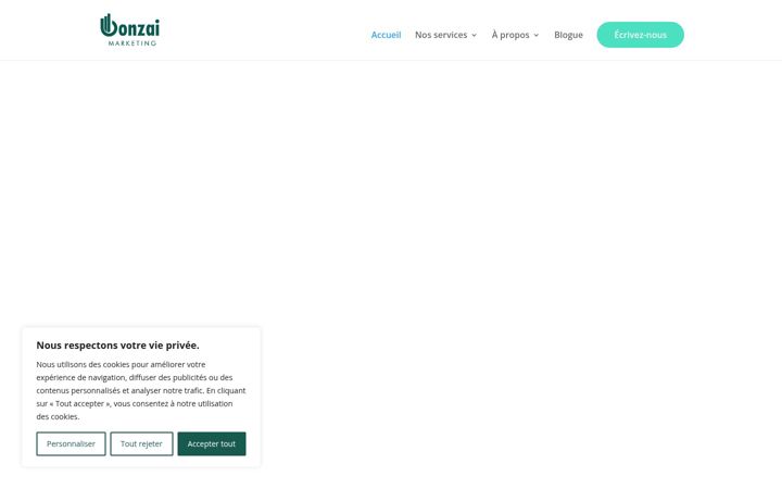 Screenshot of bonzaimarketing.ca