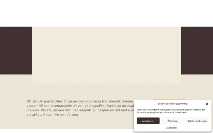 Screenshot stránky boogertenpartners.com