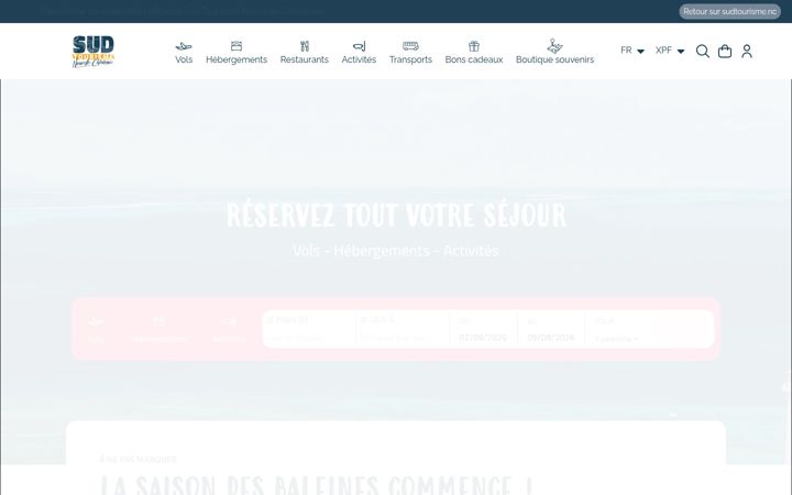 Screenshot of book-sudtourisme.com