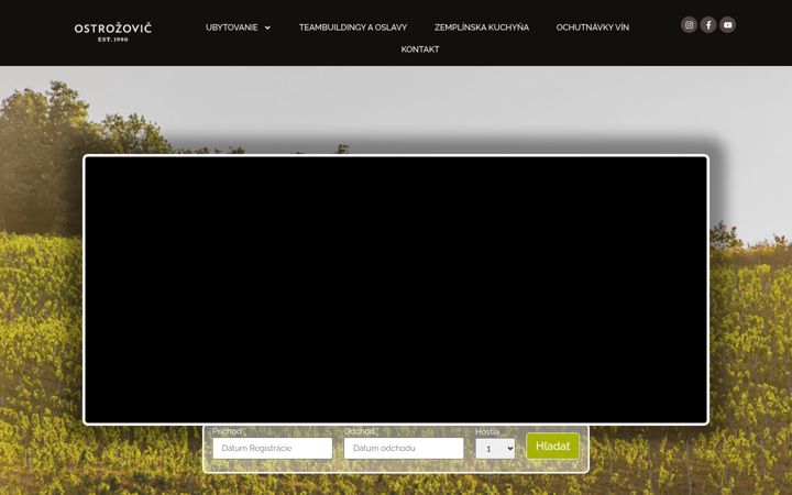 Screenshot of bookingostrozovic.online