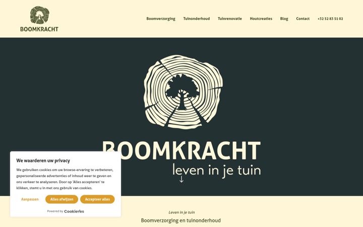 Screenshot of boomkracht.be
