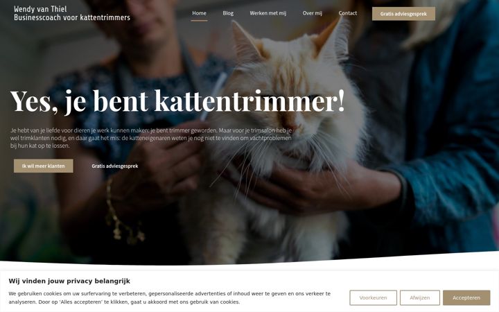 Screenshot of boostjetrimsalon.nl