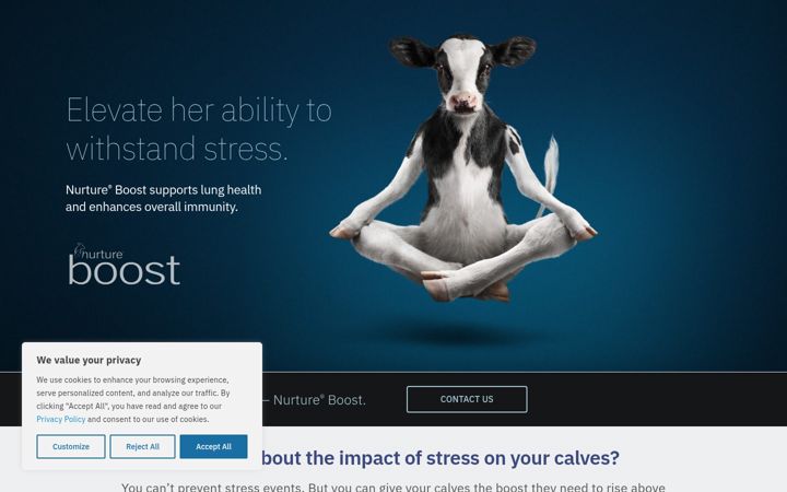 Screenshot of boostyourcalves.com