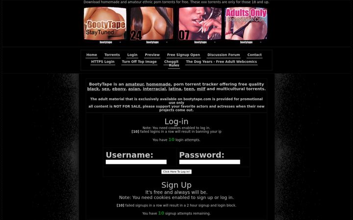 Screenshot of bootytape.com