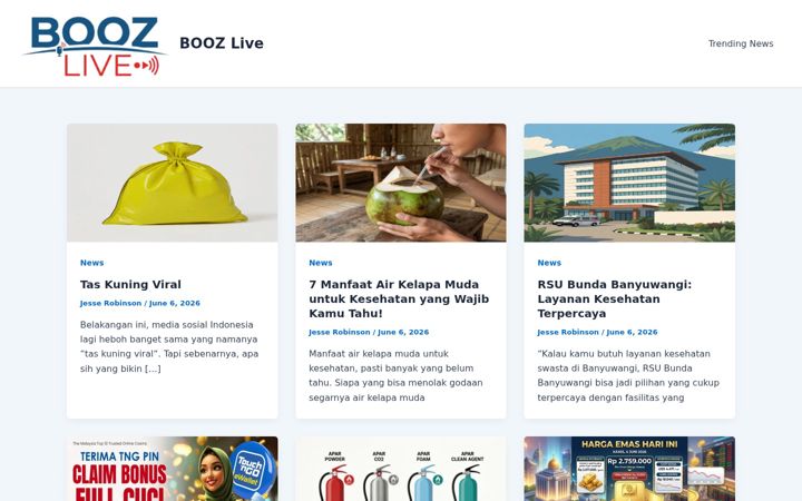 Screenshot of booz.live