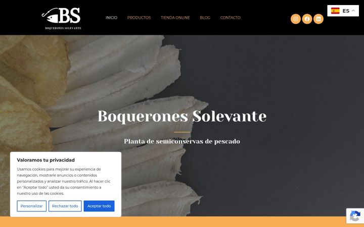 Screenshot stránky boqueronessolevante.es